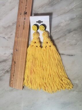 Silk earings Free with any purchase from my closet. NWT